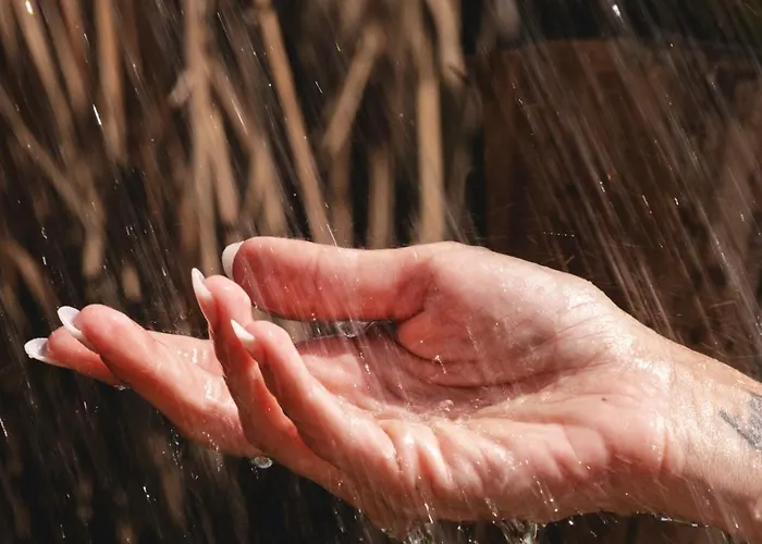 ホテル Voger Silence アラカティ