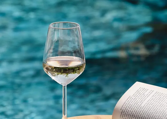 Voger Silence アラカティ