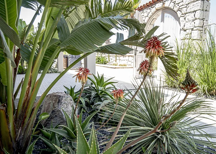 Voger Silence ホテル アラカティ