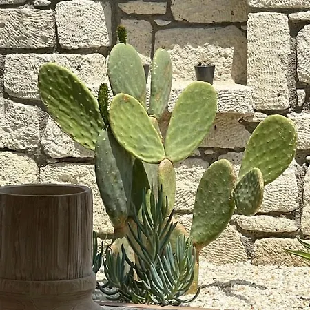 Voger Silence Alacati