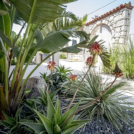 Voger Silence Szálloda Alacati