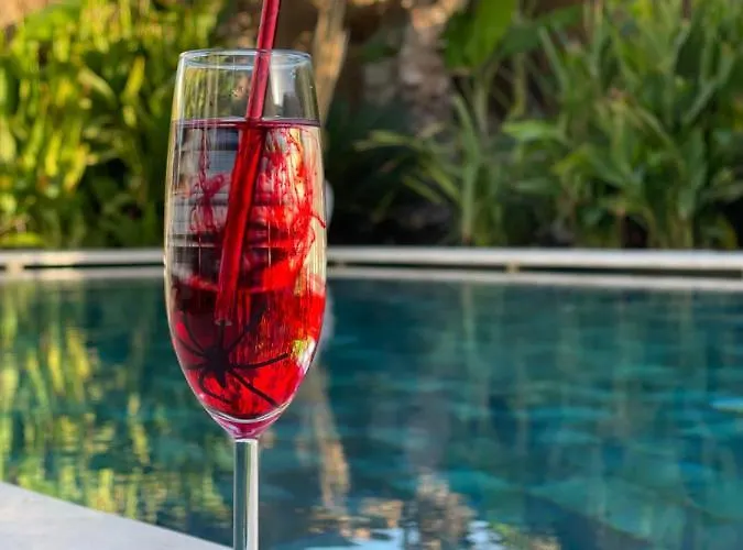 Hotel Voger Silence *